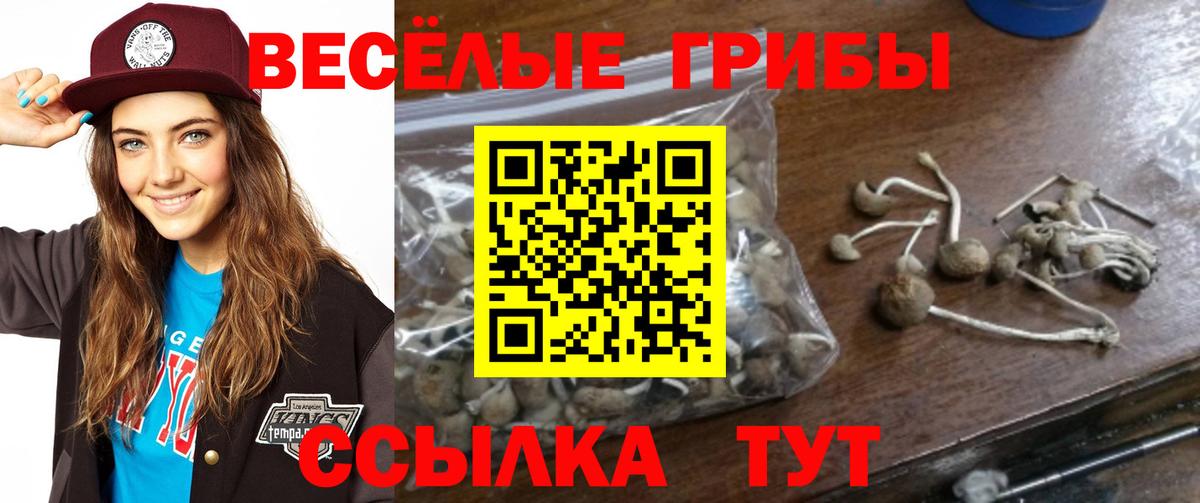 Псилоцибиновые грибы Magic Shrooms Губаха