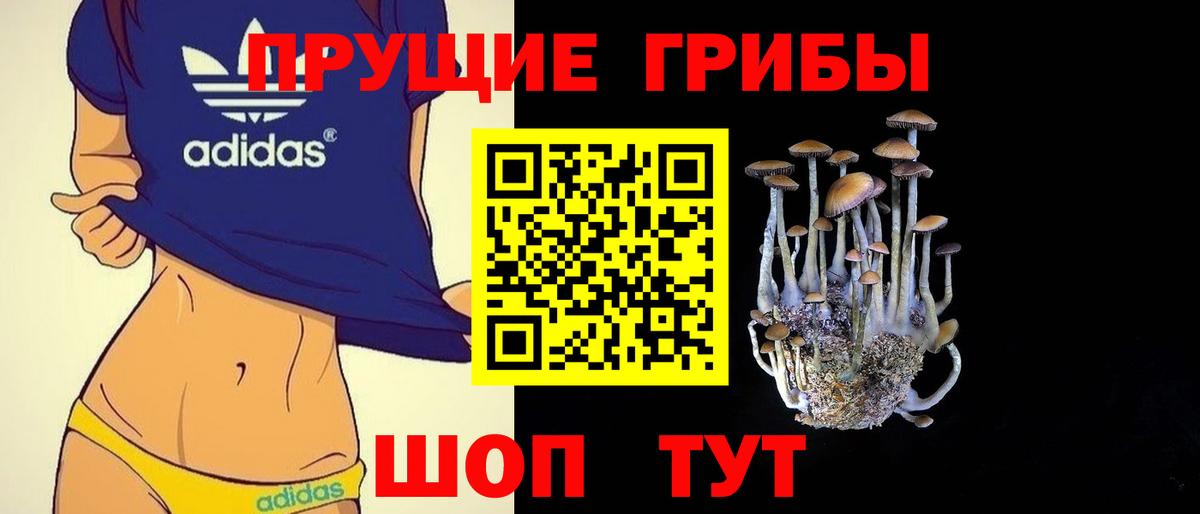 Псилоцибиновые грибы мухоморы  Вход с VPN  Губаха  Псилоцибиновые грибы Psilocybine cubensis 
